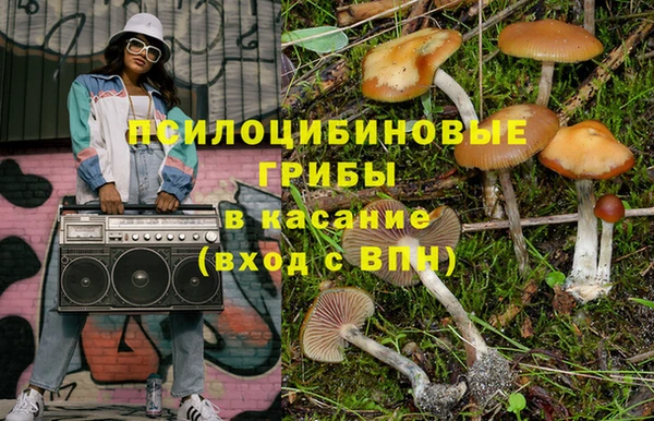 шишки Абдулино
