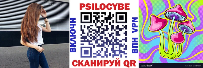 omg онион  Ильский  Псилоцибиновые грибы прущие грибы 